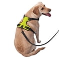 thumbnail image 2 of Balery Yellow Arnés para Perros Grandes Antitirones, Arnés con Correa para Gato, Arnés Tipo Chaleco para Perros Pequeños-Small, 2 of 6