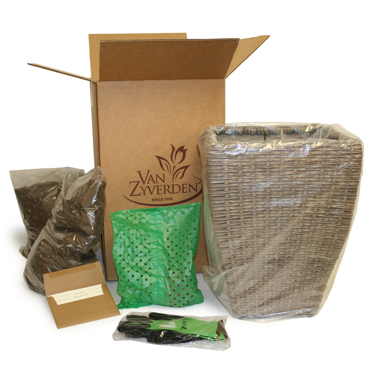 Van Zyverden Elephant Ear Hawaiian Punch Patio Kit with Decorative Rattan Planter, Planting Medium and 1 Root Green Partial Sun Perennial Deer Resistant 8 lbs