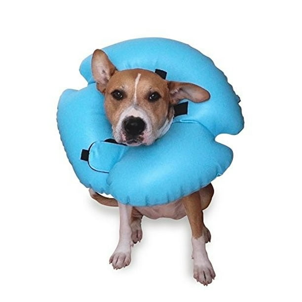 Remedy + Recovery Stay Rite Xtra Strong Dog Collar, Medium Walmart