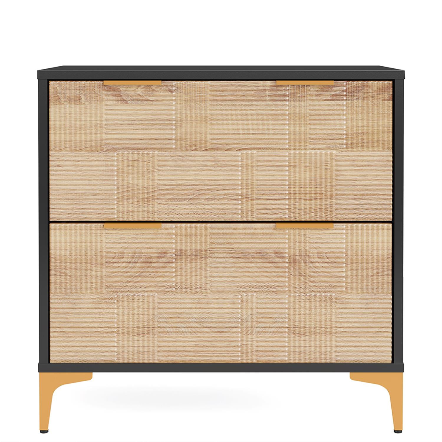 Demi Bonn 2-Drawer File Cabinet with Adjustable Hanging Bar, Filing Cabinet for Home Office, Printer Stand, for A4, Letter-Size Documents, Storage Cabinet for Home Office, Black