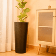 thumbnail image 1 of Maceta Ficus 60, 1 of 5