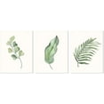 thumbnail image 5 of Canvas Wall Art Modern green plant series Wall Art Prints Watercolor green leaves poster and print canvas oil painting Wall Prints Framed for Bathroom Living Room Home Office Kitchen Wall Décor, 5 of 6