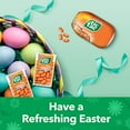 thumbnail image 2 of Tic Tac Mints, Orange, Bulk Hard Candy Mints, Perfect Easter Basket Stuffers for Kids, 1 oz Singles, 12 Count, 2 of 6