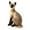 32cm Siamese Cat, variant on Lifelike Cat Plush Toy Figures Soft Doll Birthday Gift Stuffed Animal 32cm Siamese Cat