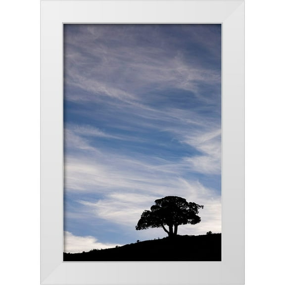 Jones, Adam 11x14 White Modern Wood Framed Museum Art Print Titled - Single tree silhouetted at sunrise-Yellowstone National Park-Wyoming