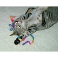 thumbnail image 4 of Cat Dancer Cat Charmer Interactive Cat Toy, Tie-Dye, 3 Pack, 4 of 4