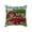 E, variant on Fareti Decorative Throw Pillow Covers Independence Day Pillows for Couch Bed Sofa, Flag Themed Red Barn Farmhouse Sunflower Cushion Covers Pillowcases for Home Decor