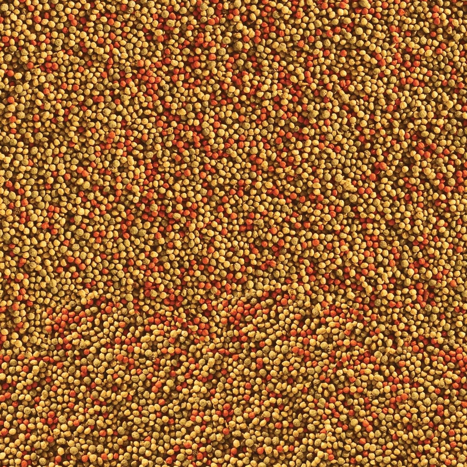 Tetra Granules Flottantes Équilibrées 53g