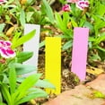 thumbnail image 6 of WRISTBIQUE 300pcs Garden Plant Labels Durable Plastic Tag Stakes For Easy Plant Identification For And Nursery Use, 6 of 8