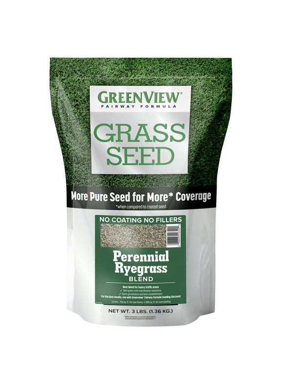 Ryegrass Seed in Grass Seed & Sod