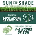thumbnail image 3 of Pennington Smart Seed Sun & Partial Shade Northern Grass Seed Mix, 7.0 lb. New Bag, 3 of 19