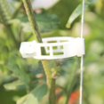 thumbnail image 4 of 100pcs Binding Collar Tie Clips Retaining Clips for Cucumber Pepper Vine Tomatoes, 4 of 5