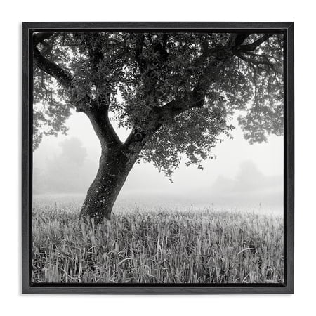 Stupell Industries Tuscan Morning Scenery Landscape & Nature Photography Black Floater Framed Canvas Art Print Wall Art 18 x 18