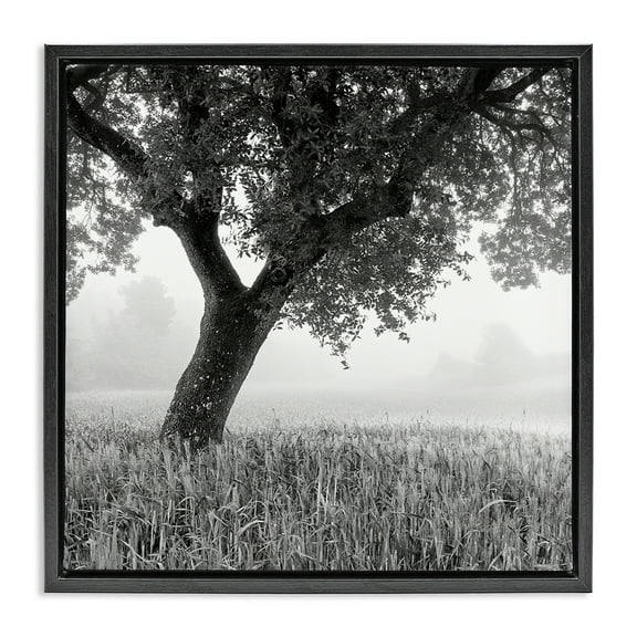 Stupell Industries Tuscan Morning Scenery Landscape & Nature Photography Black Floater Framed Canvas Art Print Wall Art, 18 x 18