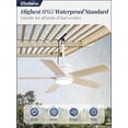 thumbnail image 2 of Ventilador de techo Fanbulous 42" para exteriores, impermeable IP65 con luz, 2 of 9