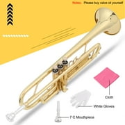 Ktaxon Bb Standard Trumpet Set, Gold Lacquer Brass with Case for Students Beginner School Band