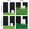 thumbnail image 4 of The Andersons Governor G Granular Lawn Growth Regulator - Covers up to 20,000 sq ft (34 lb), 4 of 5