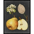 thumbnail image 2 of Vision Studio 20x24 Gold Ornate Wood Framed with Double Matting Museum Art Print Titled - Midnight Harvest IV, 2 of 4