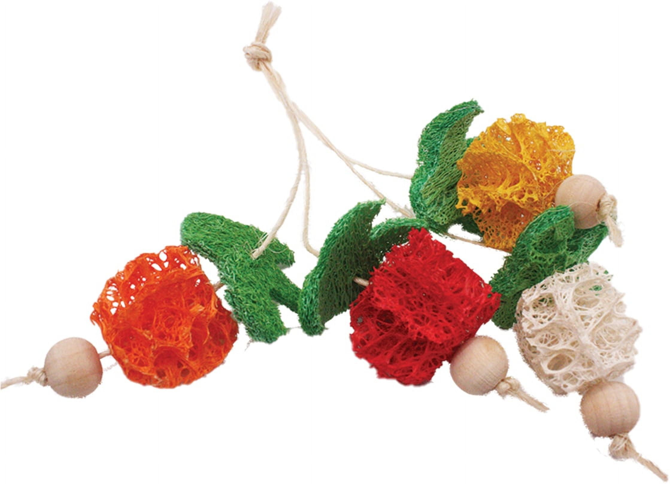 AE Cage Company Nibbles Fruit Bunch Loofah Chew Toy [Small Pet Chew Toys, Small Pet Supplies] 9 count (9 x 1 ct)