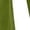Green, variant on Ruched Lantern Pants for Women Drawstring Elastic Waist Casual Trousers Solid Bottoms with Pocket Fashion Loose Pant Street Errands Outdoor Activities