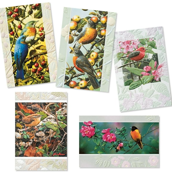 Pumpernickel Press Deluxe Embossed Birthday Card Assortment – “Wild Birds”, 30 Ct
