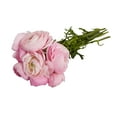 thumbnail image 2 of Light Pink Ranunculus - Fresh Cut - 300 Stems, 2 of 8