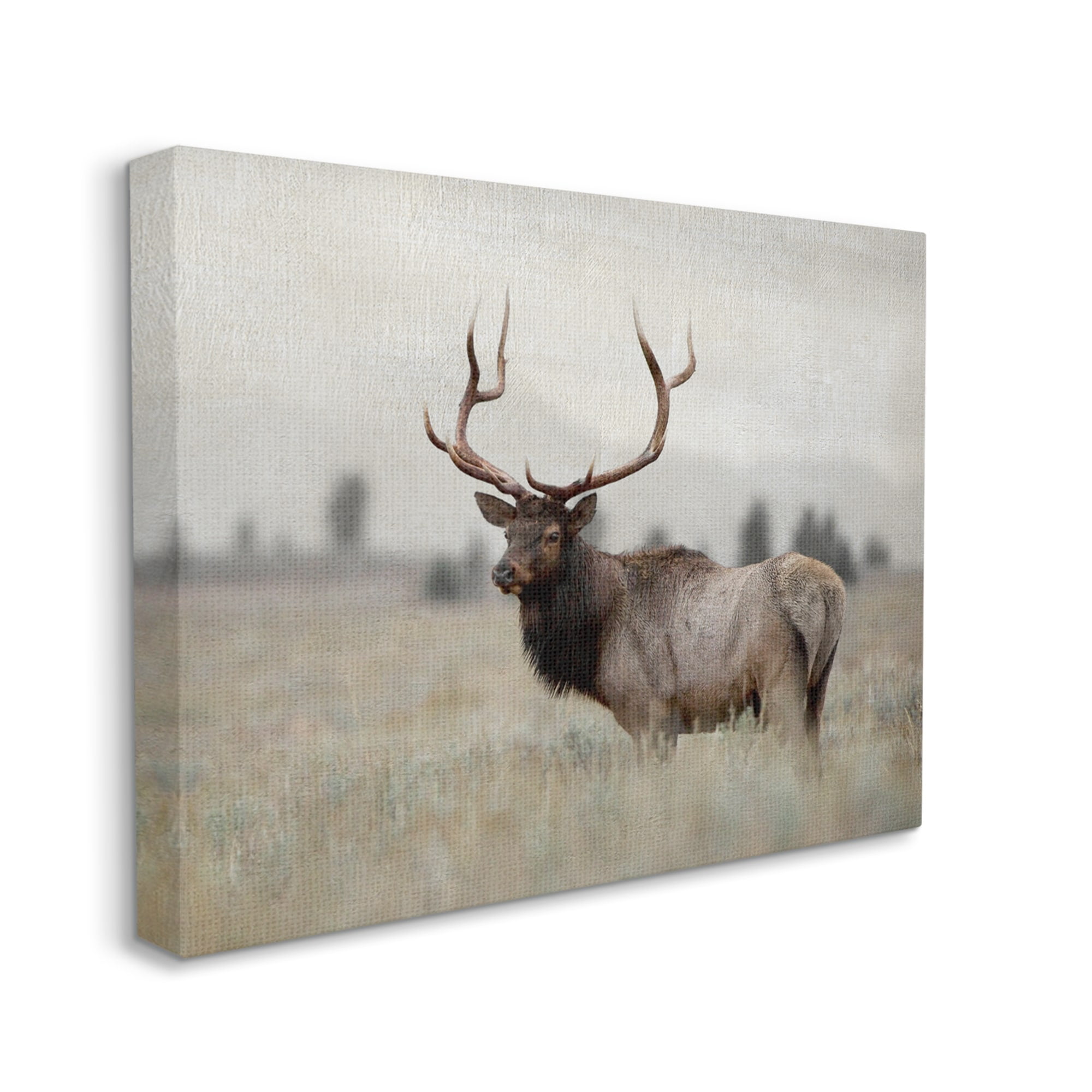 Stupell Industries Tranquil Elk Deer Grazing Rural Farmland Field Photograph Gallery Wrapped Canvas Print Wall Art, Design by Danita Delimont