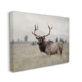 thumbnail image 3 of Stupell Industries Tranquil Elk Deer Grazing Rural Farmland Field Photograph Gallery Wrapped Canvas Print Wall Art, Design by Danita Delimont, 3 of 5