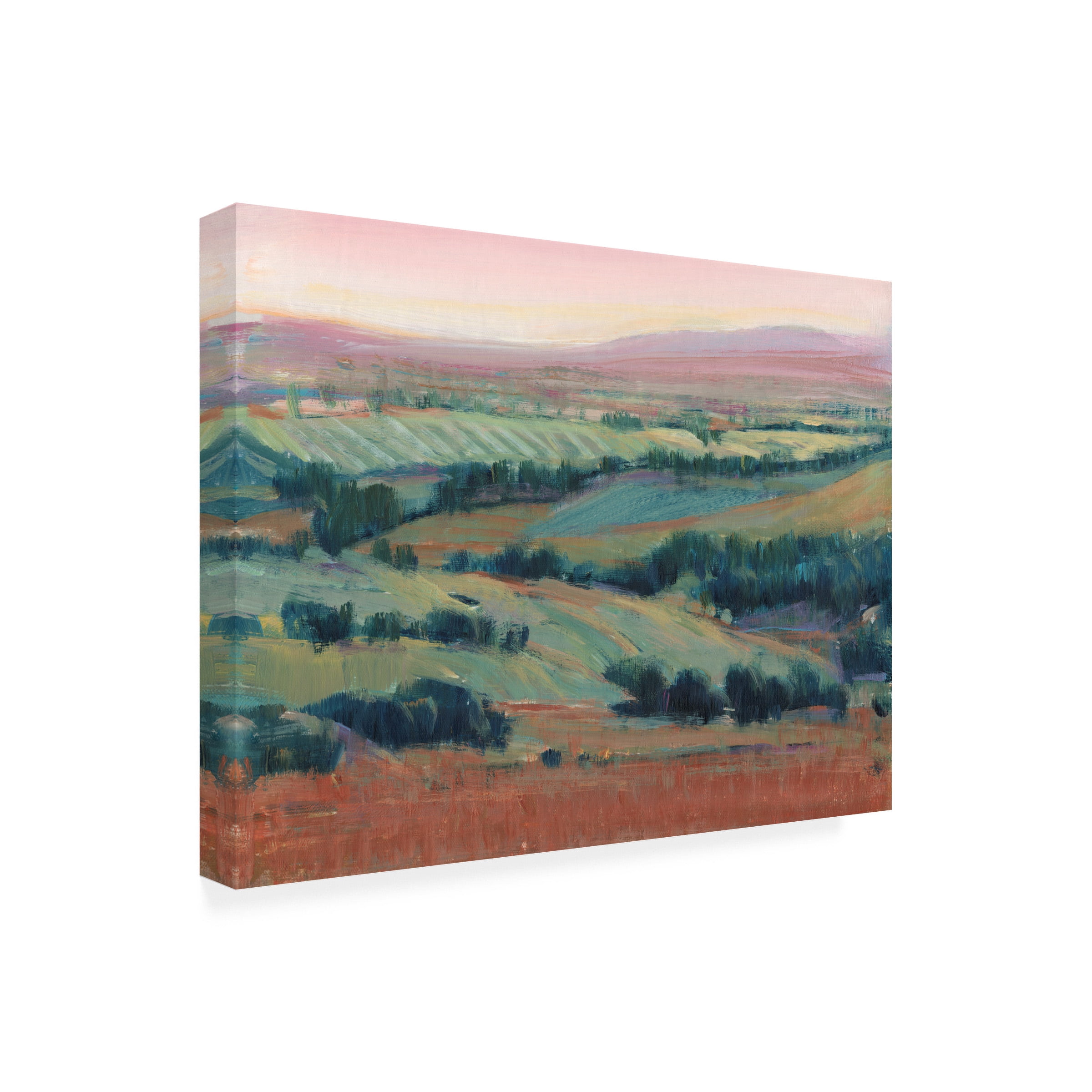 Tim OToole 'High Point II' Canvas Art