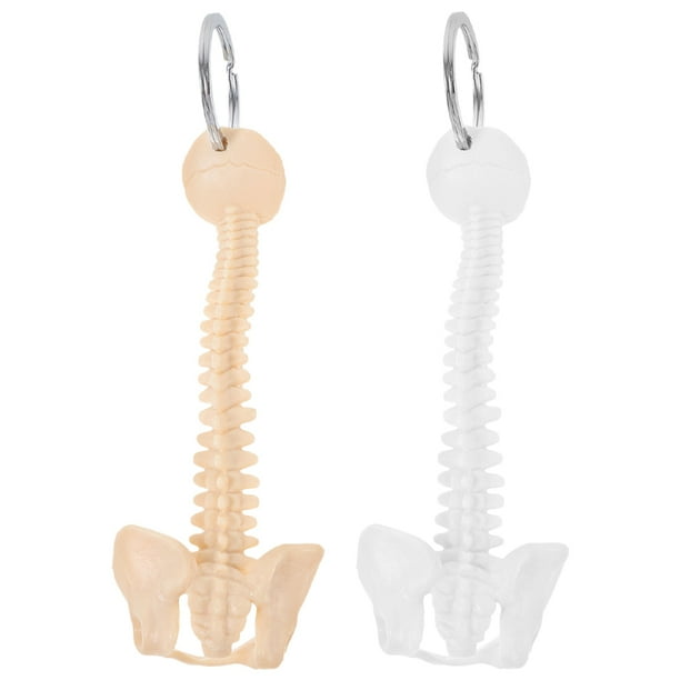 2 llaveros de columna vertebral con esqueleto humano, mini llavero para exhibición de llaves, modelo de enseñanza, herramientas de estudio en el aula, regalo de biología para médico