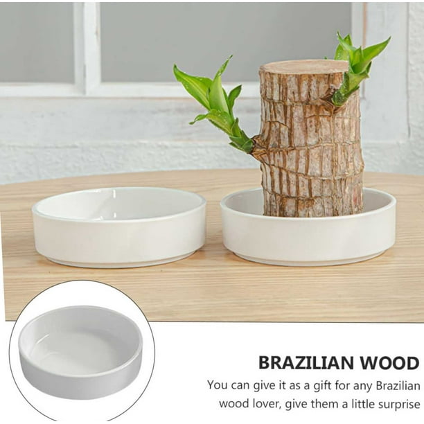 Xihbxyly Bandeja de Madera Brasileña, Platillo de Cerámica para Plantas, Duradera y Lavable, Accesorio Decorativo para Escritorio, Elegante Accesorio de Oficina, Uso Versátil, Se Adapta a La Mayoría