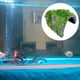 thumbnail image 4 of Cueva de resina artificial para escondite de reptiles y serpientes, decoración para acuarios de peces. C, 4 of 9
