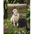 thumbnail image 3 of Carolines Treasures FRF0018GF Labradors Jaunes et Noirs, 3 of 3