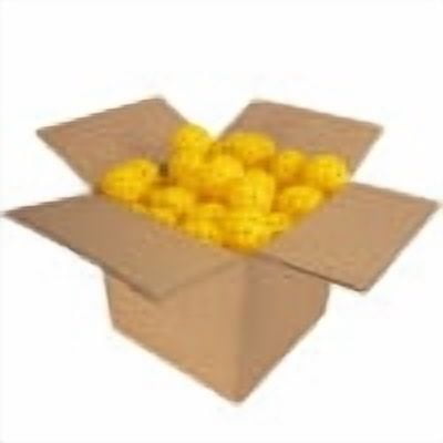 Fuse G2 Outdoor Pickleball Balls (100 Pack)