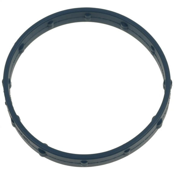Electronic Throttle Body (ETB) Gasket
