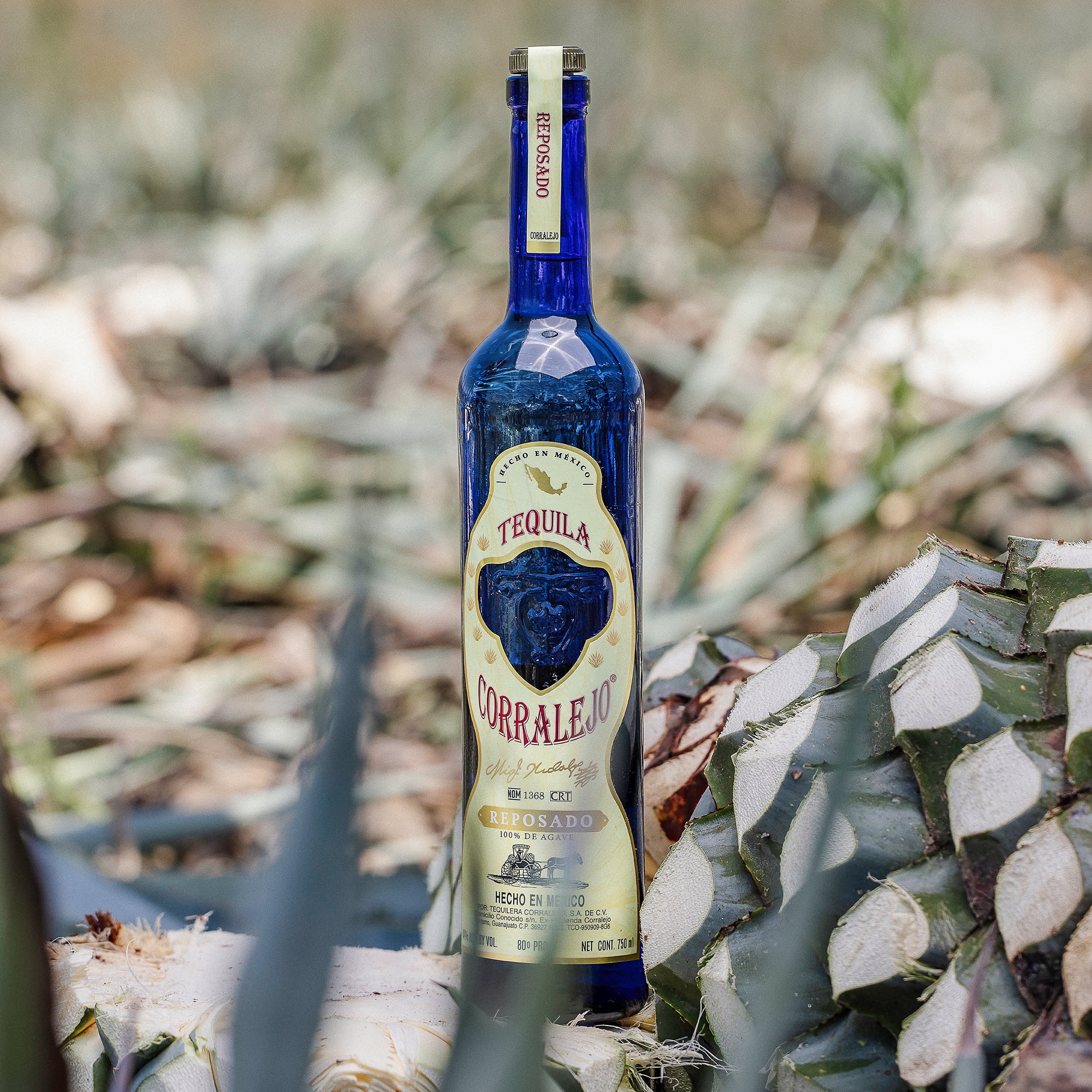 Tequila Corralejo, Reposado Tequila, 750 ml Bottle, 40% ABV