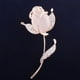 thumbnail image 4 of Broche elegante con diseño de rosa y ópalo, broche de aleación de moda para decoración, regalo para mujer (dorado), 4 of 8