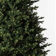 thumbnail image 4 of Vickerman G183278LEDCC 7.5 ft. x 58 in. Welch Fraser 3 mm 1150CC Christmas Tree, 4 of 10