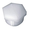 thumbnail image 1 of Manguera de conexión Anderson HEX Plug de nylon MPT de 1/4 pulgadas, 1 of 1