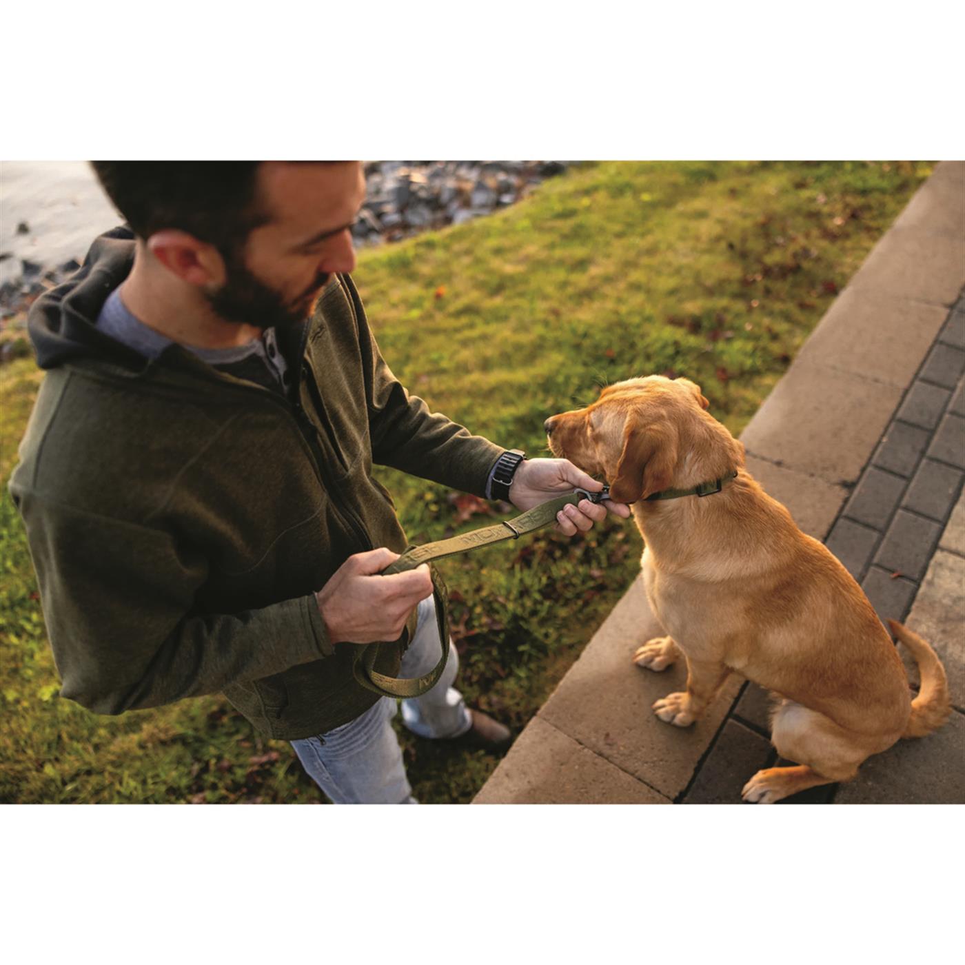 MOmarsh Adjustable Dog Leash Cypress Green