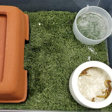 ifundom 2-Pack Natural Artificial Moss Mats for Reptile Terrariums, Moisturizing Decor, and Realistic