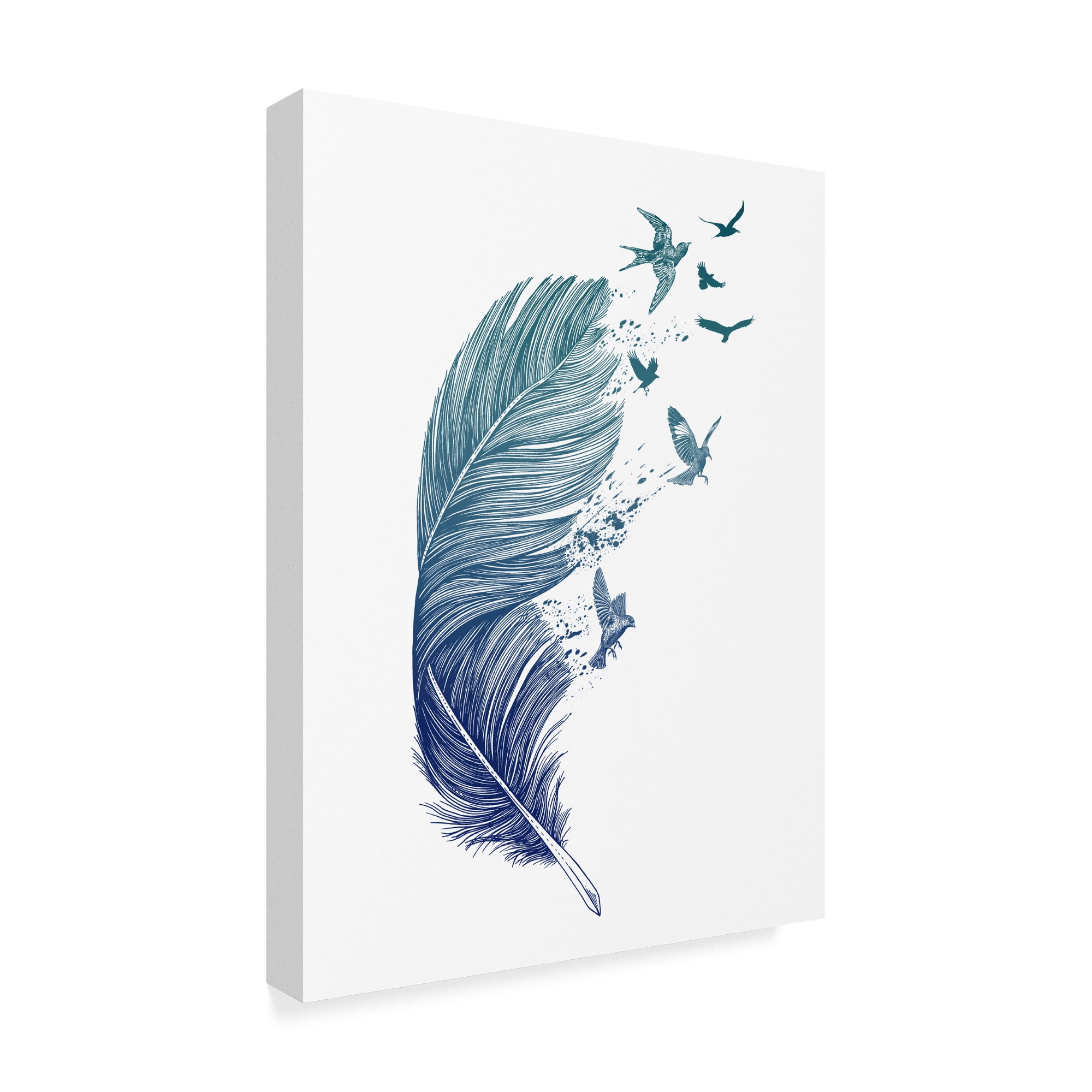 Trademark Fine Art 'Fly Away Feather' Canvas Art by Rachel Caldwell