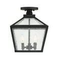 thumbnail image 5 of Woodstock 3-Light Outdoor Ceiling Light in Black, 5 of 6