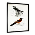 thumbnail image 2 of Designart 'Ancient Bird II' Traditional Framed Art Print, 2 of 4