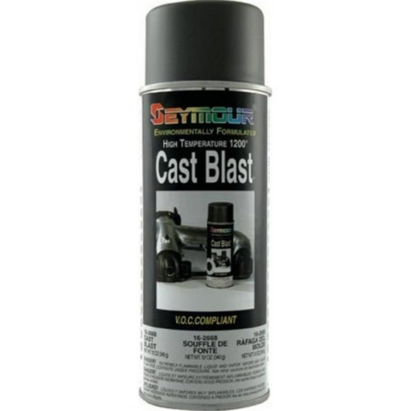 Seymour Of Sycamore, Inc SEY-16-2668 Hot Spot Cast Blast Hi-Heat Resistant Paint