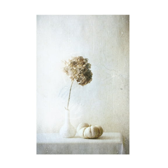 Canvas Wall Art - Delphine Devos 'Autumn Feelings' Wall Art for Living Room, Bedroom, or Office Décor by Trademark Fine Art - 12 x 19 Inches