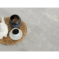 thumbnail image 4 of Rug Branch Havana Collection Traditional Distressed Area Rug, 4 of 6
