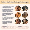 thumbnail image 7 of Moerie Shampoo, Conditioner, Hair Mask & Spray Set – 4-in-1 Mega Pack for Fuller-Looking, Healthy-Looking Hair – Paraben & Silicone Free, 7 of 7