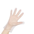 thumbnail image 5 of 100 Pieces TPE Plastic Gloves Disposable Gloves, XL, 5 of 5