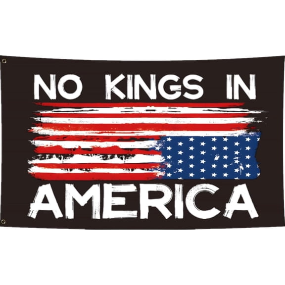 No In America Flag 3x5FT,Flags with 2 Brass Grommets,Durable Polyester. (A, 3x5ft)